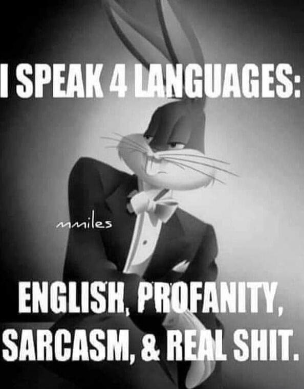 I SPEAK 4 LANGUAGES: ENGLISH, PROFANITY, SARCASM, & REAL SHIT.