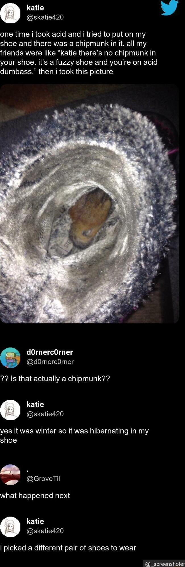 katie L 4 skatie420 one time i took acid and i tried to put on my shoe and there was a chipmunk in it all my friends were like katie theres no chipmunk in your shoe its a fuzzy shoe and youre on acid dumbass then i took this picture dOrnercOrner dOmercOrner Is that actually a chipmunk katie skatie420 yes it was winter so it was hibernating in my shoe CroveTi W ETGETT L I TSN katie skatie420 i pick