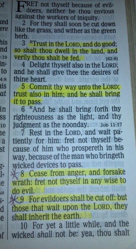 FRET not thyself because of evildoers, neither be thou envious against the workers of iniquity. For they shall soon be cut down like the grass, and wither as the green herb. Trust in the LORD, and do good; so shalt thou dwell in the land, and verily thou shalt be fed. Delight thyself also in the LORD; and he shall give thee the desires of thine hea
