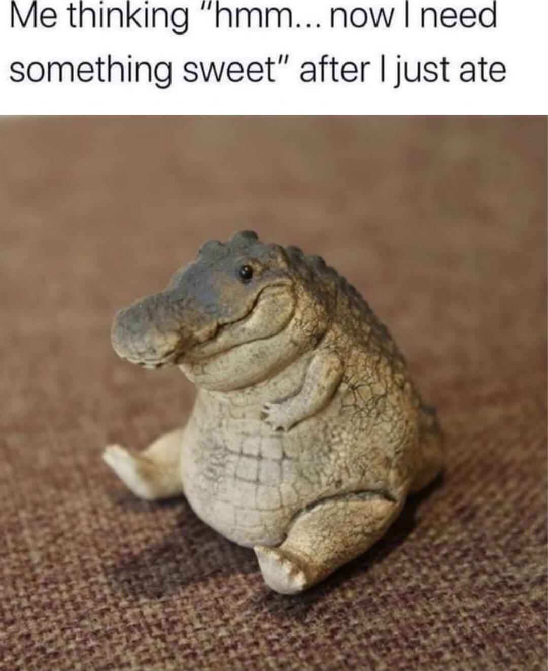 Me thinking hmm now ne something sweet after just ate