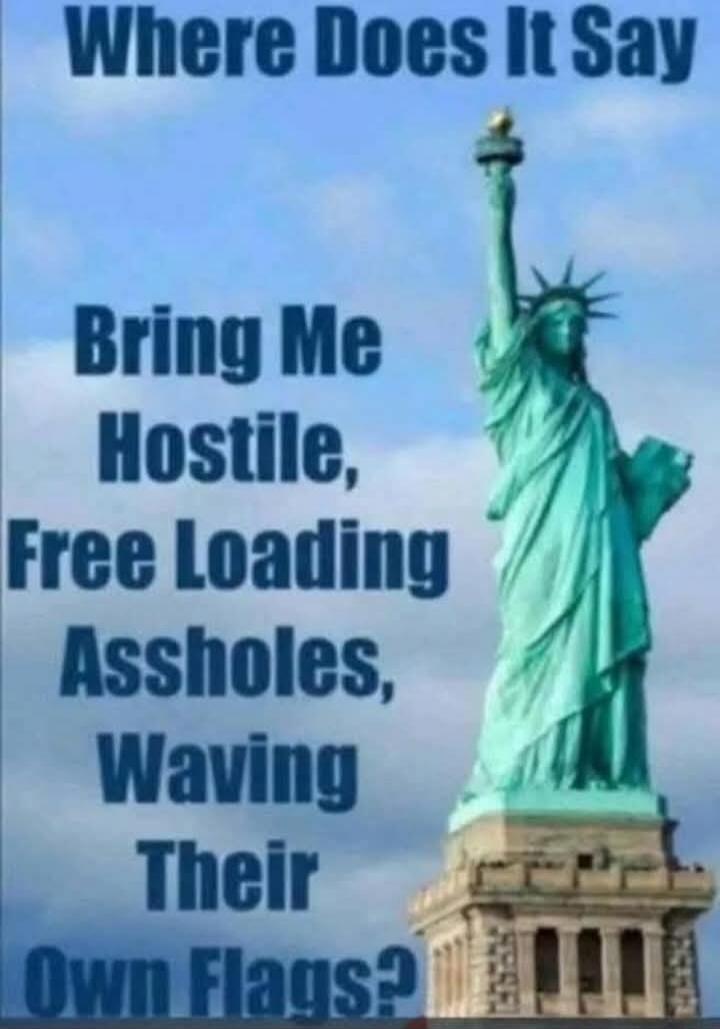 Where Does It Say Bring Me Hostile, Free Loading Assholes, Waving Their Own Flags?