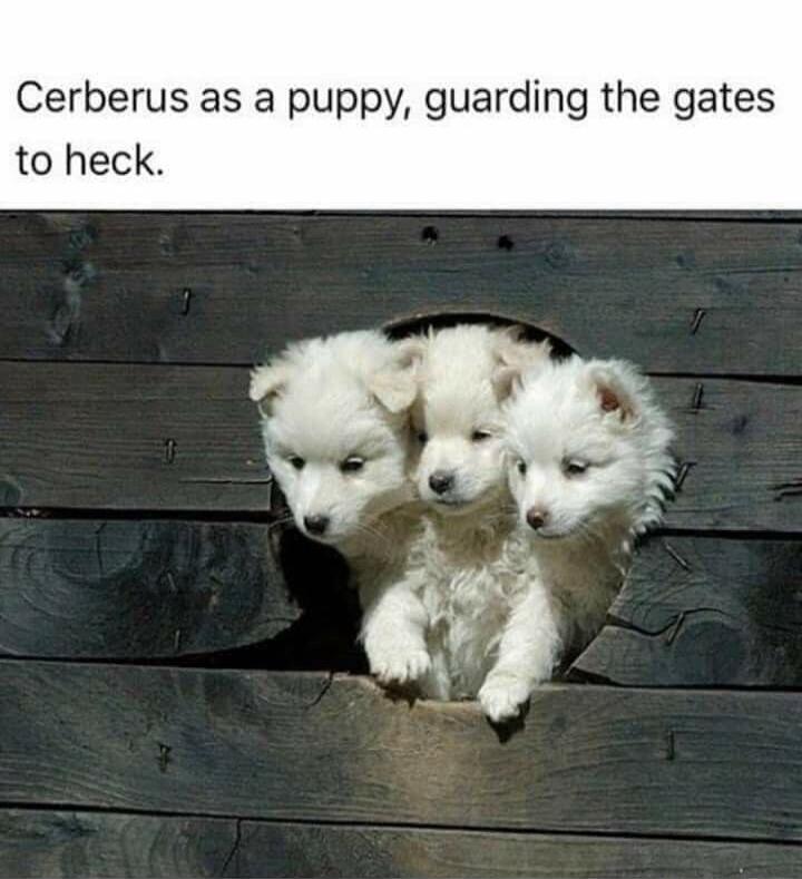 Cerberus as a puppy, guarding the gates to heck.