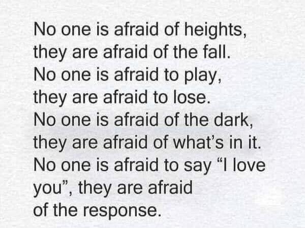 No one is afraid of heights, they are afraid of the fall. No one is afraid to play, they are afraid to lose. No one is afraid of the dark, they are afraid of what's in it. No one is afraid to say 