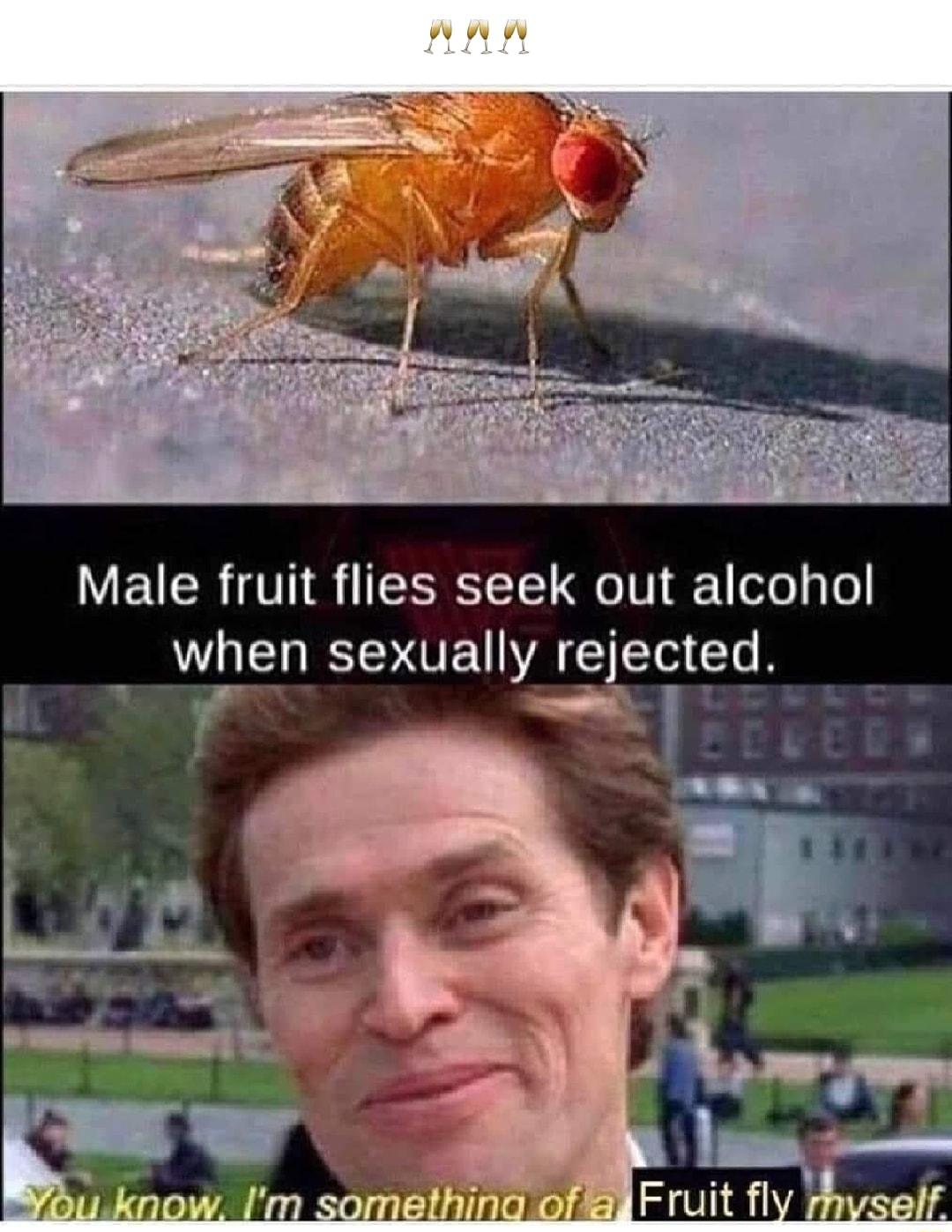 W EUCE V18 T eV 1 ofe y o when sexually rejected