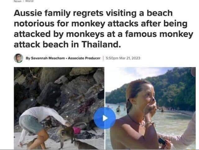 Aussie family regrets visiting a beach notorious for monkey attacks after being attacked by monkeys at a famous monkey attack beach in Thailand P O