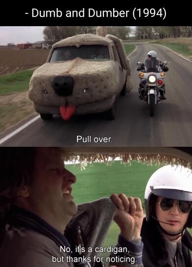 Dumb and Dumber 1994 No iffs cvrdian but 1hanjc for noticing