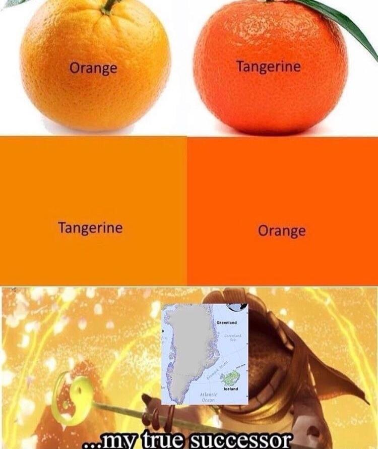 4 R Orange Tangerine Tangerine Orange