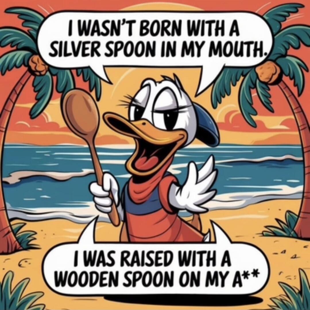I WASN'T BORN WITH A SILVER SPOON IN MY MOUTH. I WAS RAISED WITH A WOODEN SPOON ON MY A**