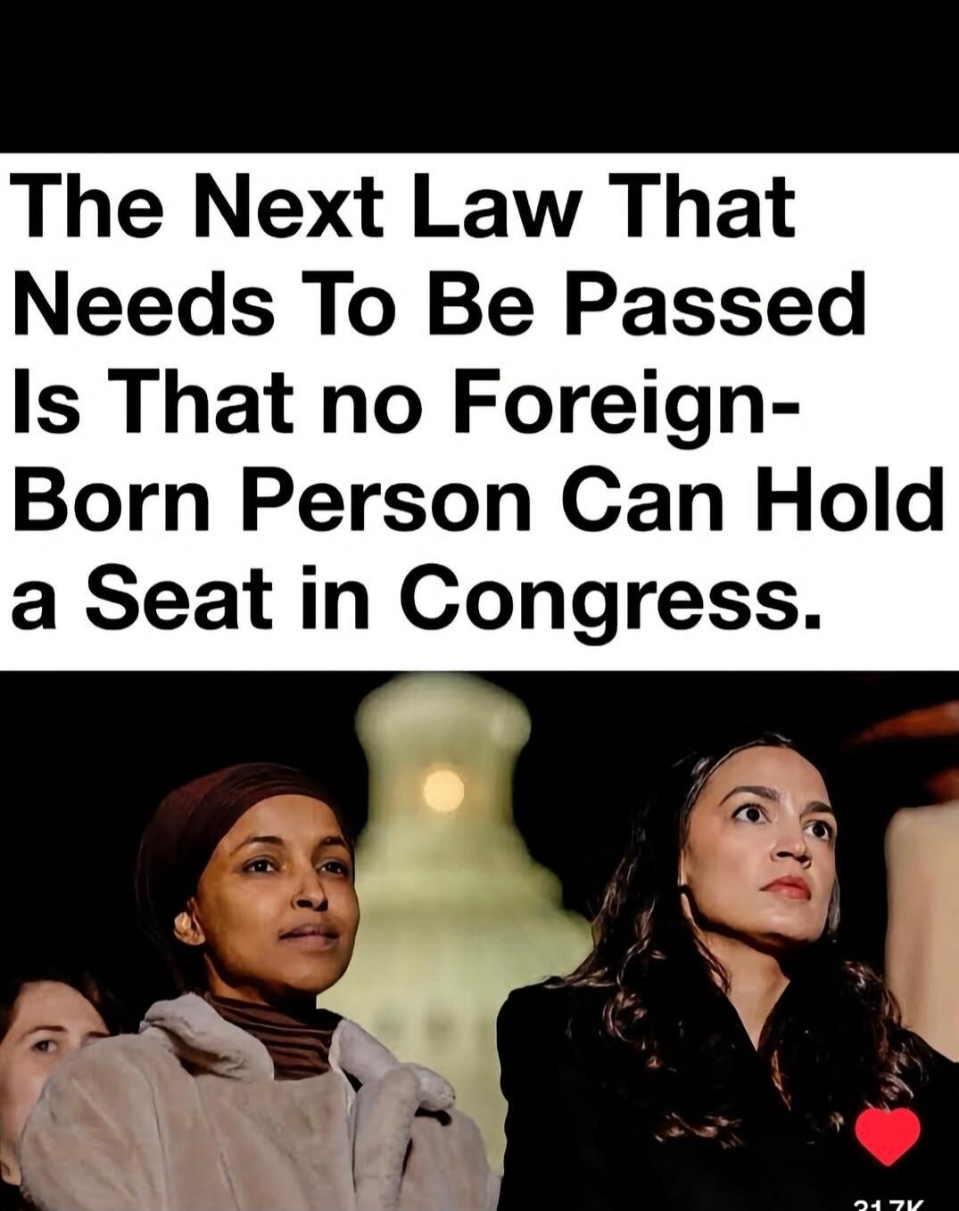 The Next Law That Needs To Be Passed Is That no Foreign-Born Person Can Hold a Seat in Congress.