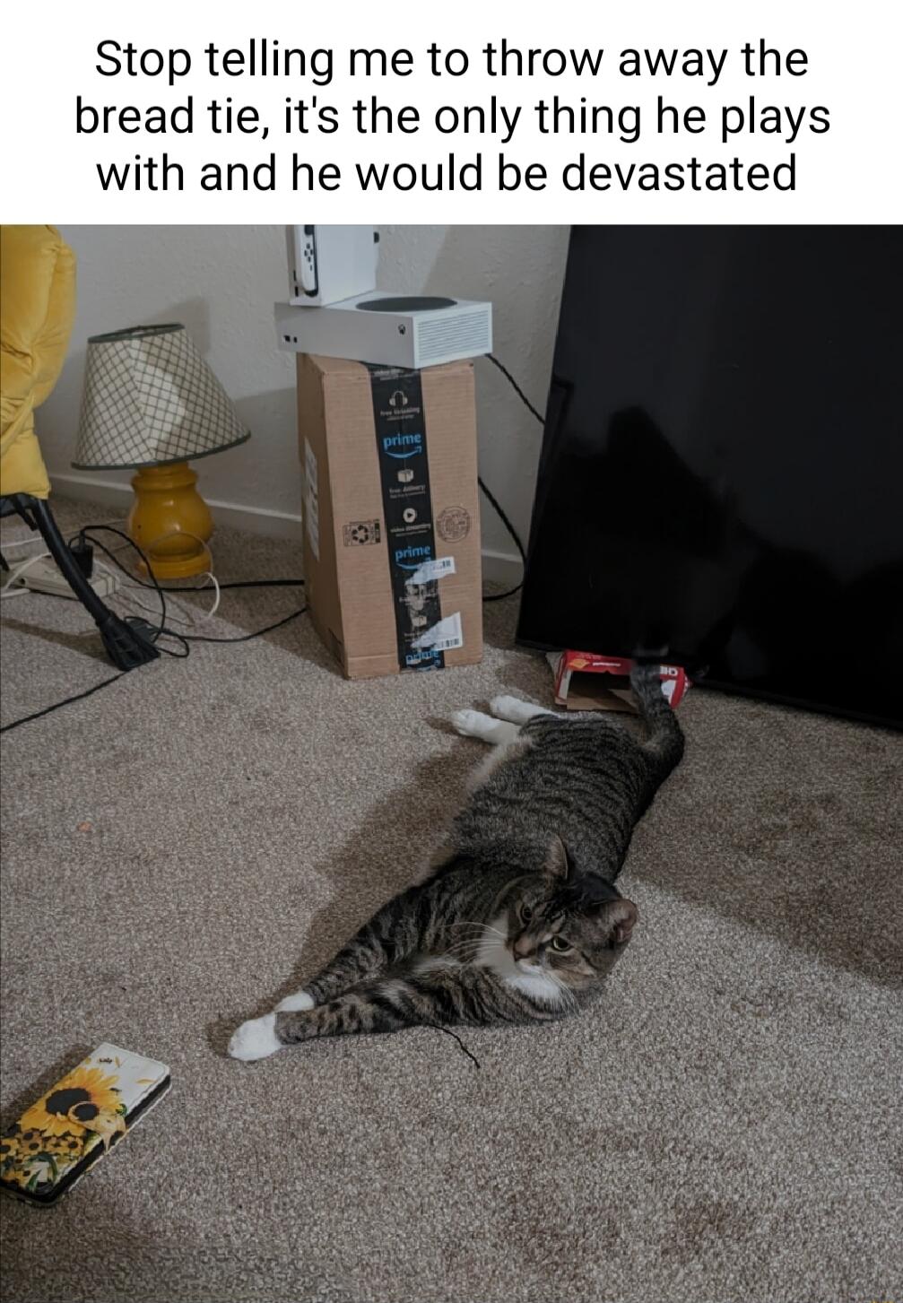 Stop telling me to throw away the bread tie its the only thing he plays with and he would be devastated