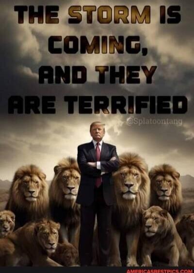 THE STORM IS COMING, AND THEY ARE TERRIFIED