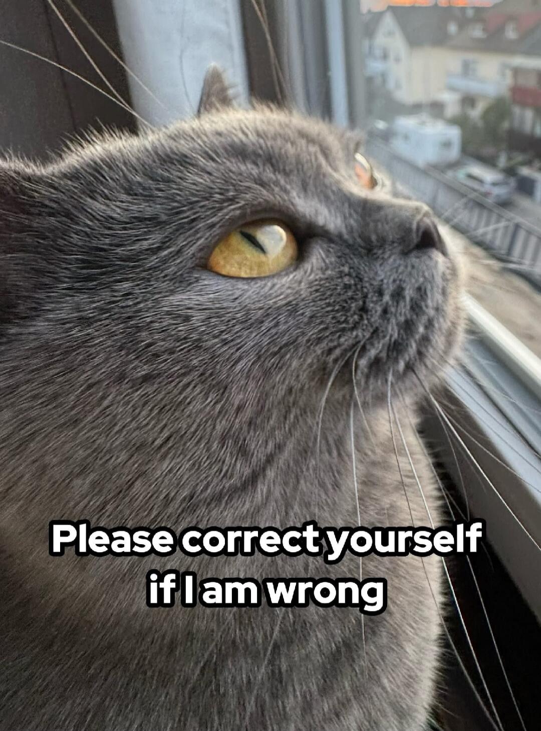 Please correct yourself if I am wrong