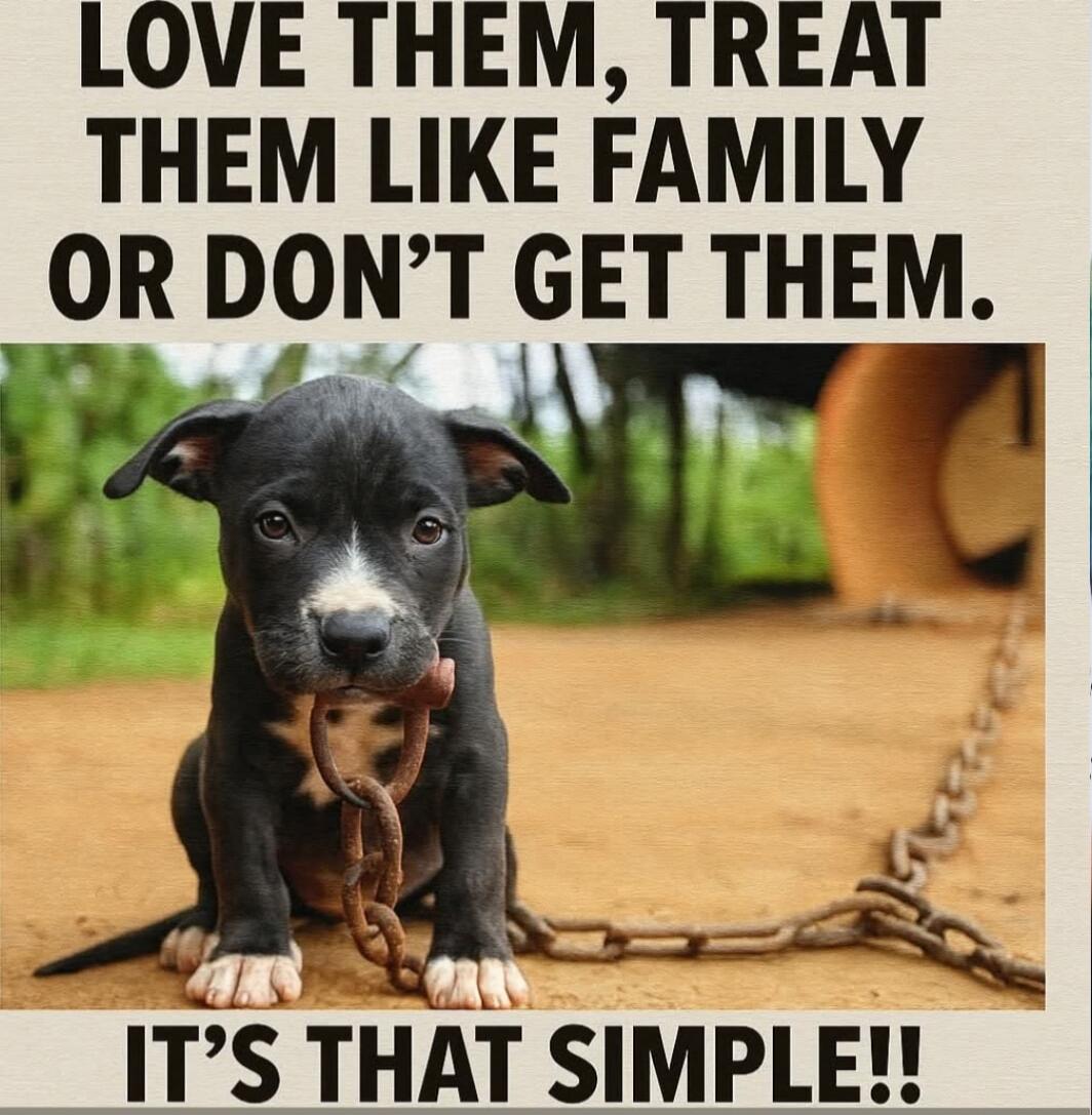 LOVE THEM, TREAT THEM LIKE FAMILY OR DON'T GET THEM. IT'S THAT SIMPLE!!