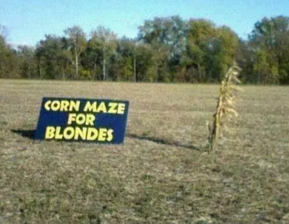 CORN MAZE FOR BLONDES