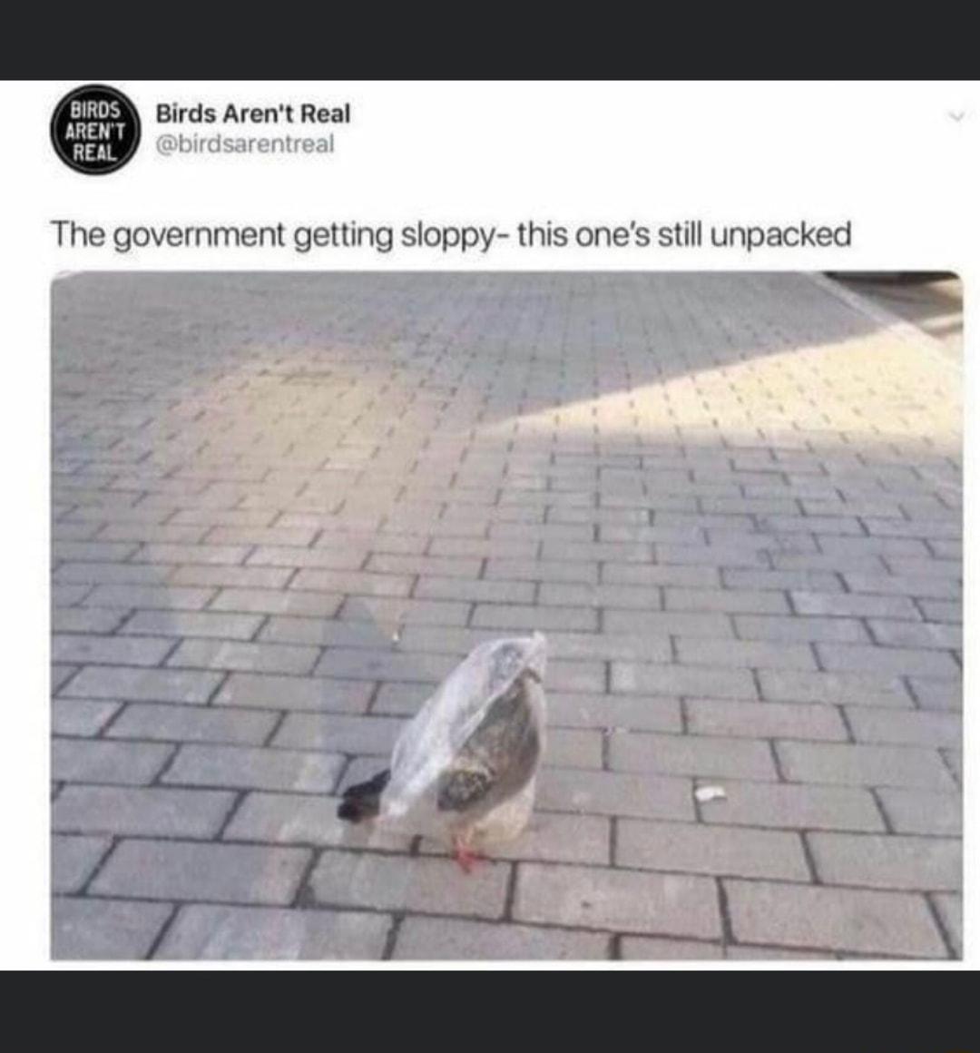 LS Birds Arent Real ARENT REAL The government getting sloppy this ones still unpacked