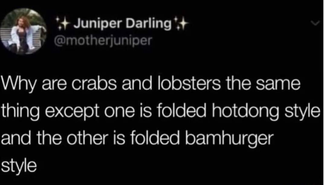 y 4 Juniper Darling amotherjuniper Why are crabs and lobsters the same thing except one is folded hotdong style and the other is folded bamhurger SV
