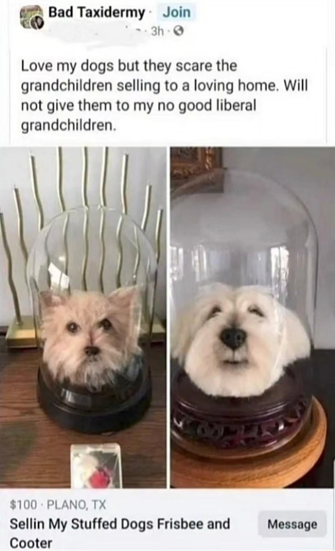 Bad Taxidermy Join 3h Love my dogs but they scare the grandchildren selling to a loving home. Will not give them to my no good liberal grandchildren. $100 · PLANO, TX Sellin My Stuffed Dogs Frisbee and Cooter Message