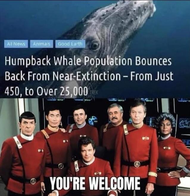 All News Animals Good Earth Humpback Whale Population Bounces Back From Near-Extinction - From Just 450, to Over 25,000 TREK YOU'RE WELCOME