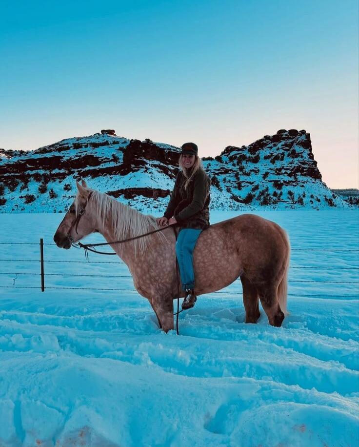 A person riding a light brown horse in a snowy landscape with mountains in the background.