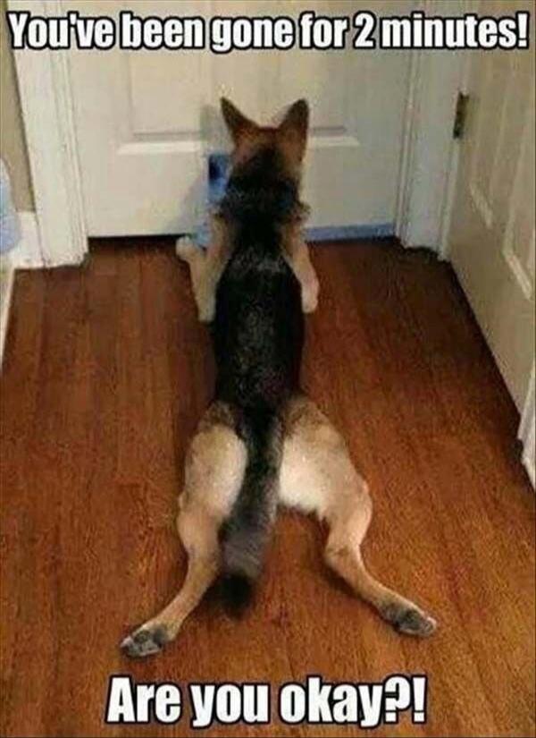 You've been gone for 2 minutes! Are you okay?!