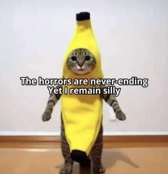 The horrors are never-ending Yet I remain silly