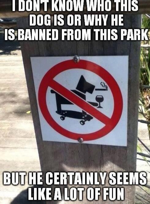 I DON'T KNOW WHO THIS DOG IS OR WHY HE IS BANNED FROM THIS PARK BUT HE CERTAINLY SEEMS LIKE A LOT OF FUN