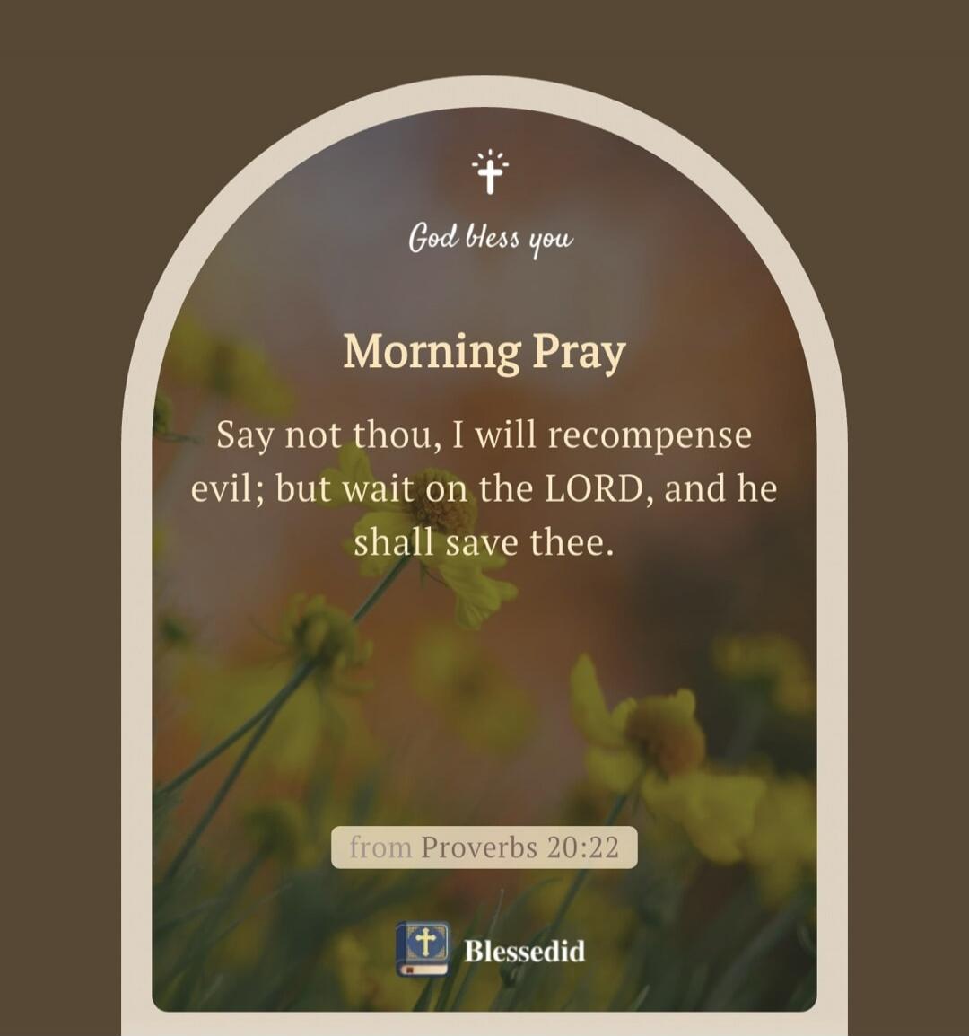 God bless you. Morning Pray. Say not thou, I will recompense evil; but wait on the LORD, and he shall save thee. from Proverbs 20:22. Blessedid.