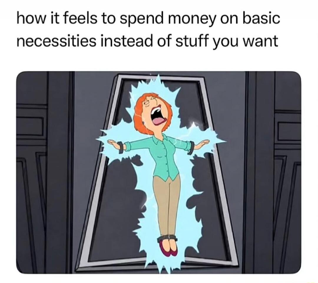 how it feels to spend money on basic necessities instead of stuff you want