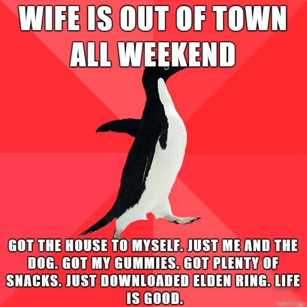 WIFEISIOUT OF TOWN ALL