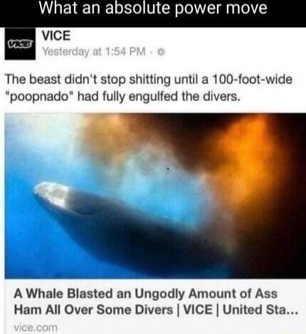 What an absolute power move The beast didnt stop shitting until a 100 foot wide poopnado had fully engulfed the divers A Whale Blasted an Ungodly Amount of Ass Ham All Over Some Divers VICE United Sta