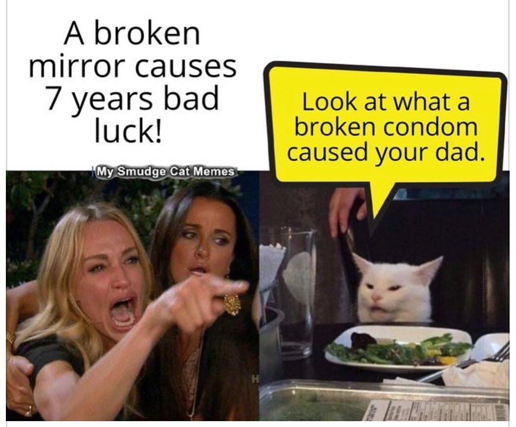 A broken mirror causes 7 years bad MySmudge Cat Memes