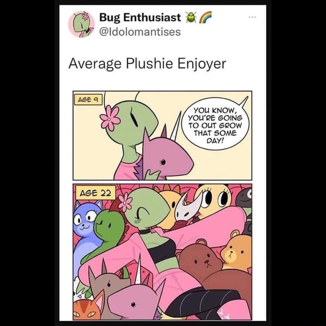 BugEnthusiast 7 Idolomantises Average Plushie Enjoyer U KNOW YOUPE GONe 70 out egow THAT SONe