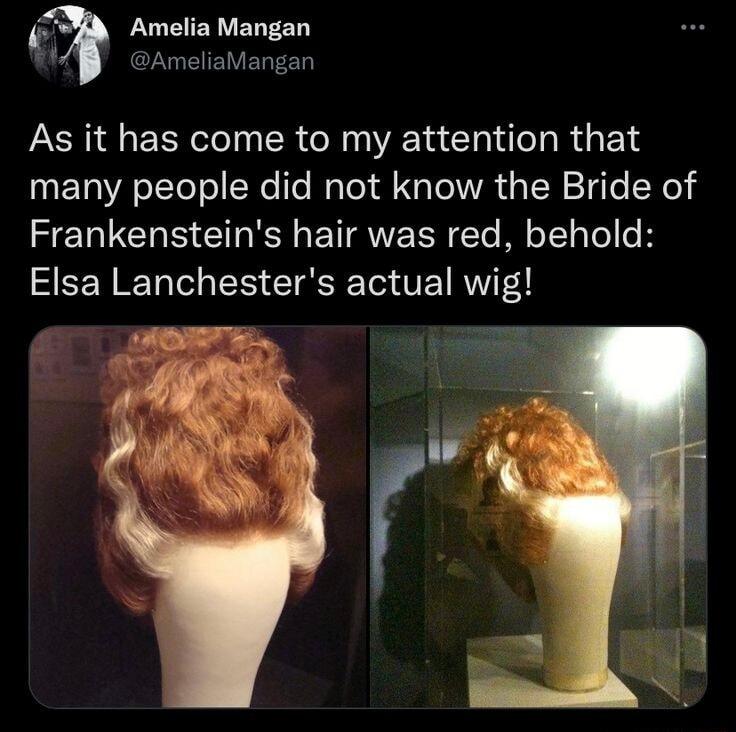 4 Amelia Mangan W AmeliaMangan As it has come to my attention that many people did not know the Bride of Frankensteins hair was red behold Elsa Lanchesters actual wig