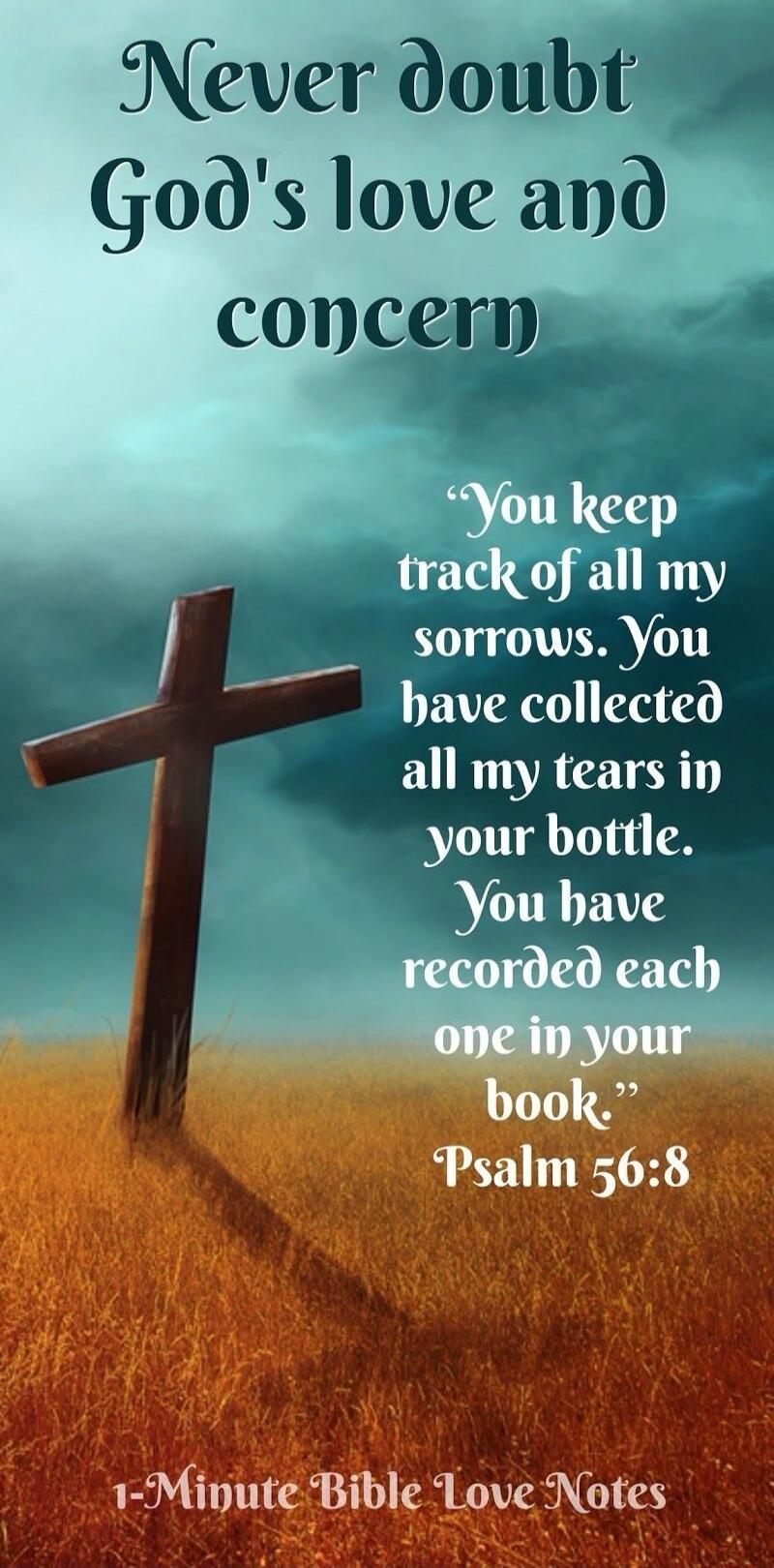 Never doubt God's love and concern. You keep track of all my sorrows. You have collected all my tears in your bottle. You have recorded each one in your book. Psalm 56:8. 1-Minute Bible Love Notes.