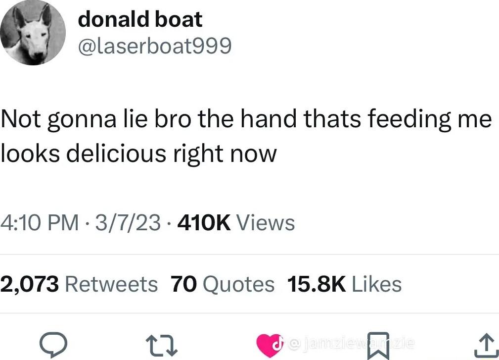 donald boat laserboat999 Not gonna lie bro the hand thats feeding me looks delicious right now 410 PM 3723 410K Views 2073 Retweets 70 Quotes 158K Likes Lo M