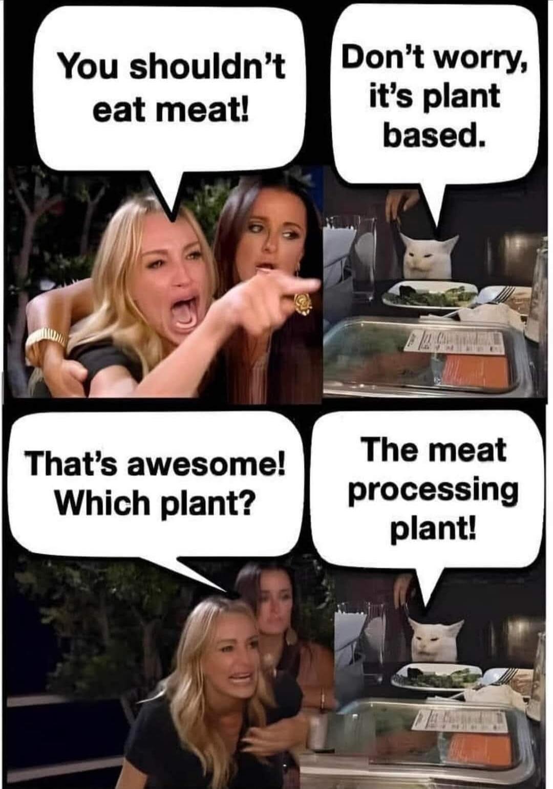 You shouldn't eat meat! Don't worry, it's plant-based. That's awesome! Which plant? The meat processing plant!