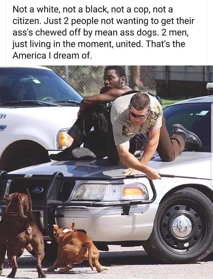 Not a white not a black not a cop not a citizen Just 2 people not wanting to get their asss chewed off by mean ass dogs 2 men just living in the moment united Thats the America dream of