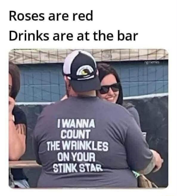 Roses are red Drinks are at the bar I WANNA COUNT THE WRINKLES ON YOUR STINK STAR