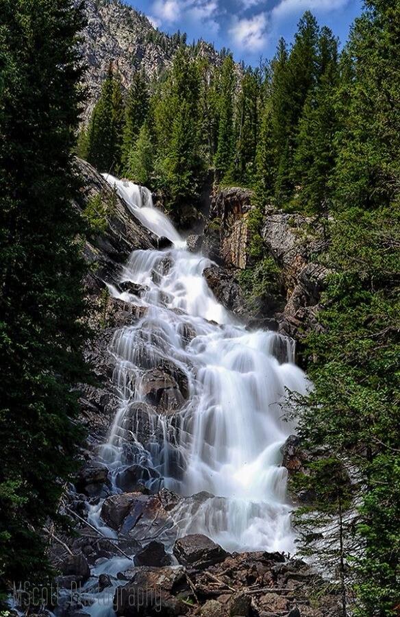 Session ID: 1046363.