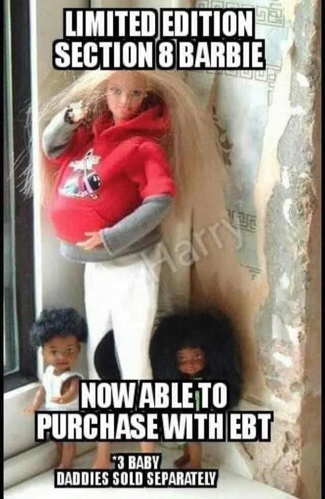 LIMITED EDITION SECTION 8 BARBIE
NOW ABLE TO PURCHASE WITH EBT
*3 BABY DADDIES SOLD SEPARATELY