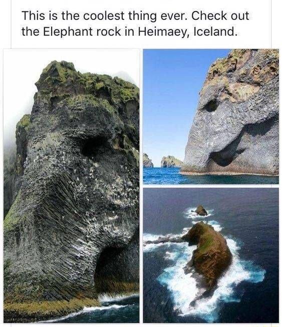 This is the coolest thing ever Check out the Elephant rock in Heimaey Iceland