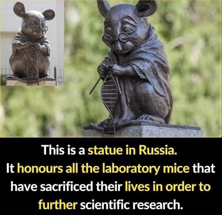This is a statue in Russia It honours all the laboratory mice that have sacrificed their lives in order to further scientific research