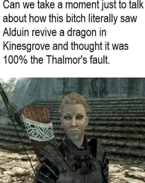 an we take a moment just to ta about how this bitch literally saw Alduin revive a dragon in Kinesgrove and thought it was 100 the Thalmors fault