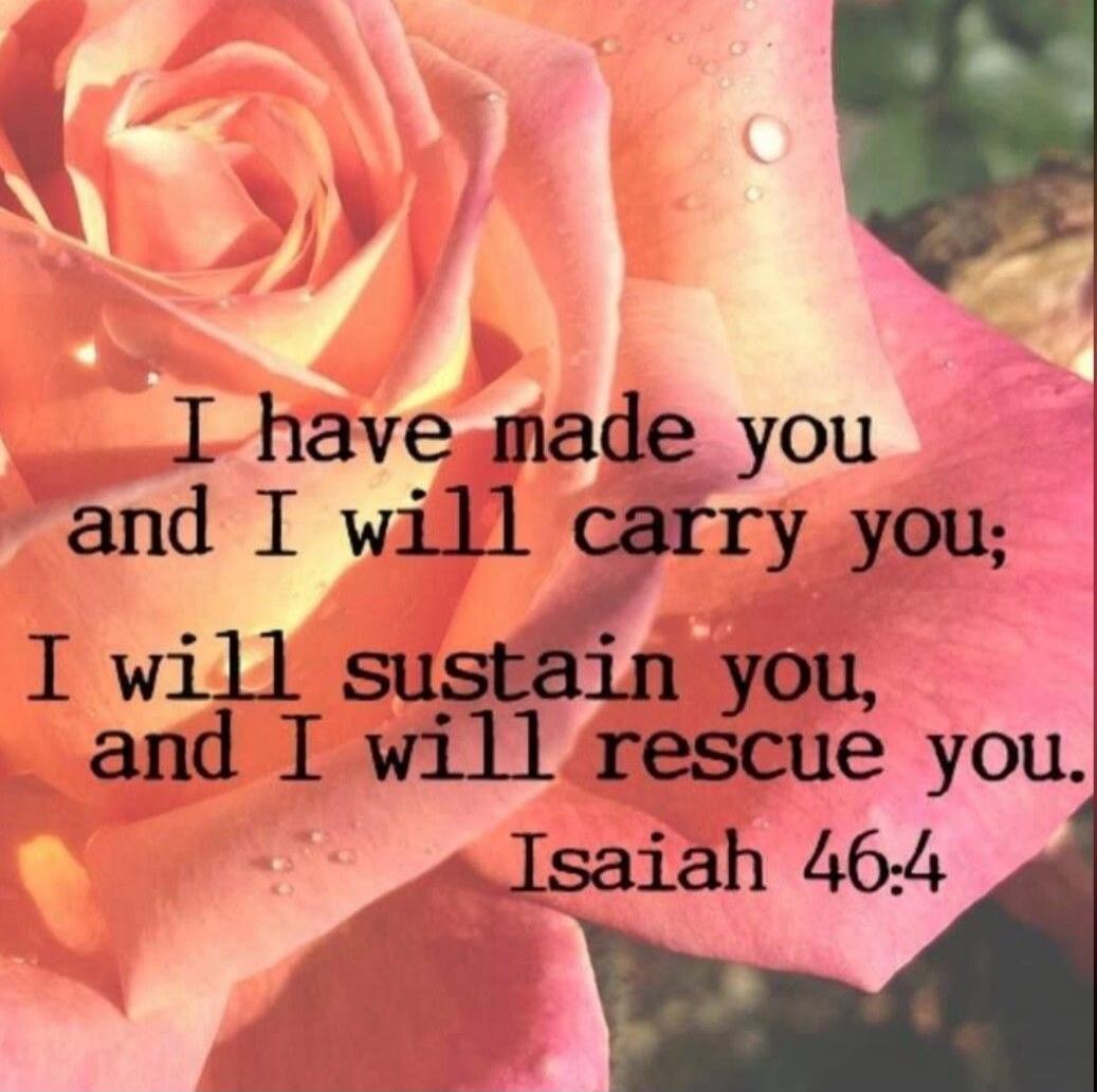 I have made you and I will carry you; I will sustain you, and I will rescue you. Isaiah 46:4
