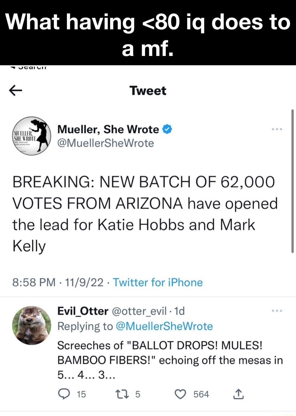 What having 80 iq does to N Tweet Mueller She Wrote MuellerSheWrote BREAKING NEW BATCH OF 62000 VOTES FROM ARIZONA have opened the lead for Katie Hobbs and Mark Kelly 858 PM 11922 Twitter for iPhone s Evil Otter otter_evil 1d Replying to MuellerSheWrote Screeches of BALLOT DROPS MULES BAMBOO FIBERS echoing off the mesas in Bl Bocs Q15 nws Qs