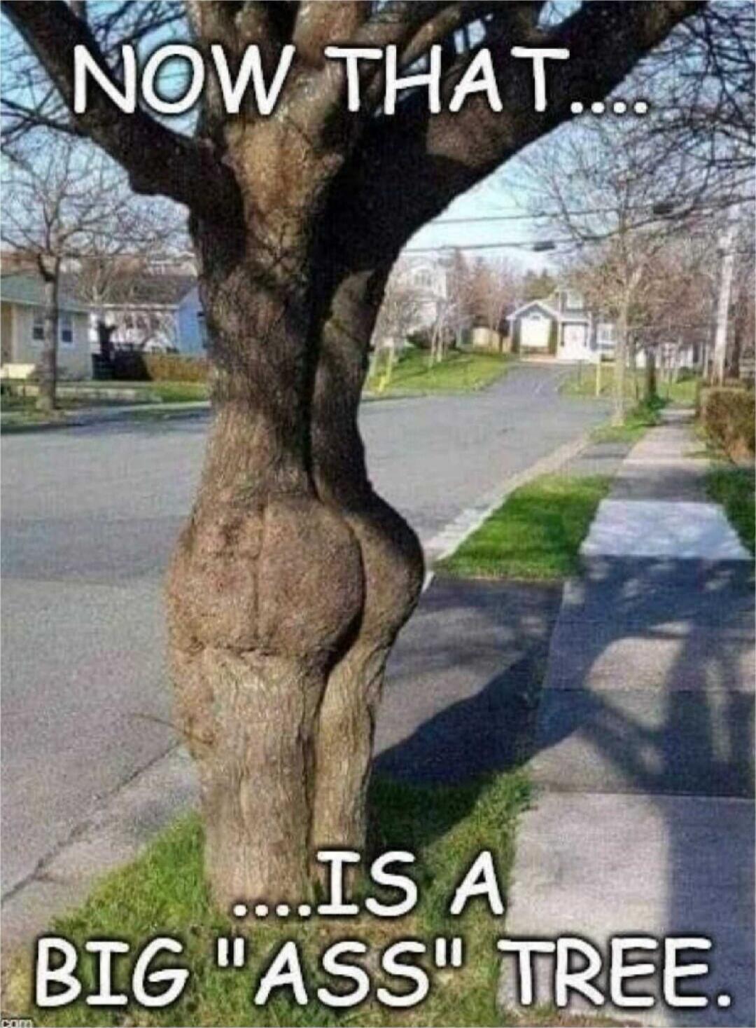 NOW THAT.... IS A BIG 