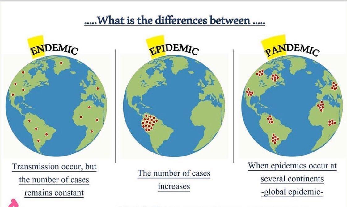 What is the differences between NDEWC Transmission occur but the number of cases remains constant 2 The number of cases increases ANDEM When epidemics occur at several continents global epidemic