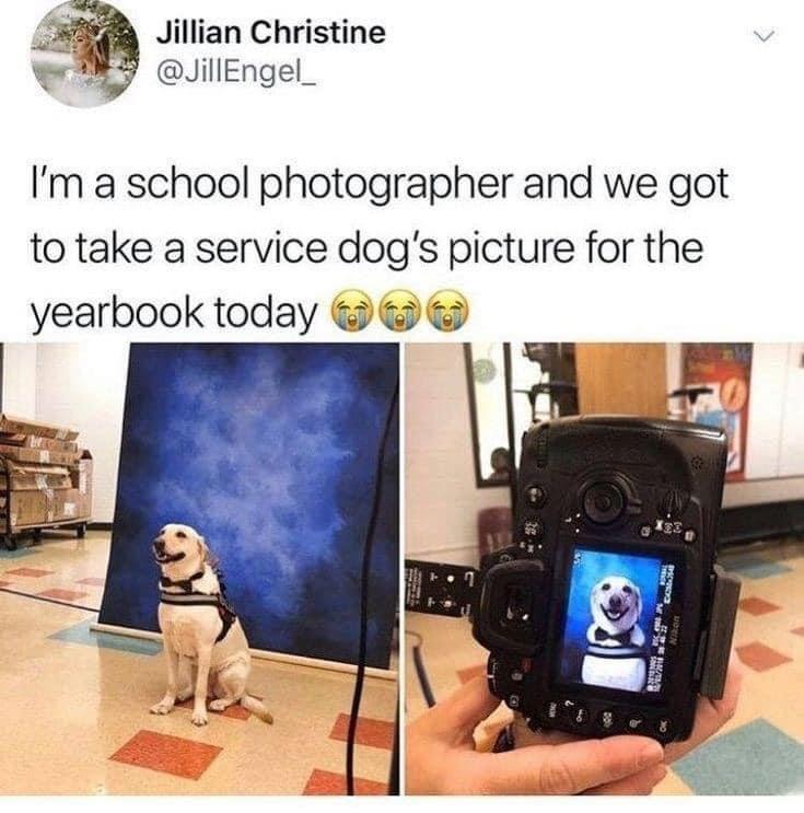 Jillian Christine JillEngel_ Im a school photographer and we got to take a service dogs picture for the yearbook today