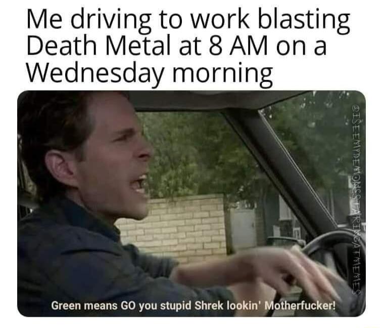 Me driving to work blasting Death Metal at 8AM on a Wednesday morning Green means GO you stupid Shrek lookin Matherfucker