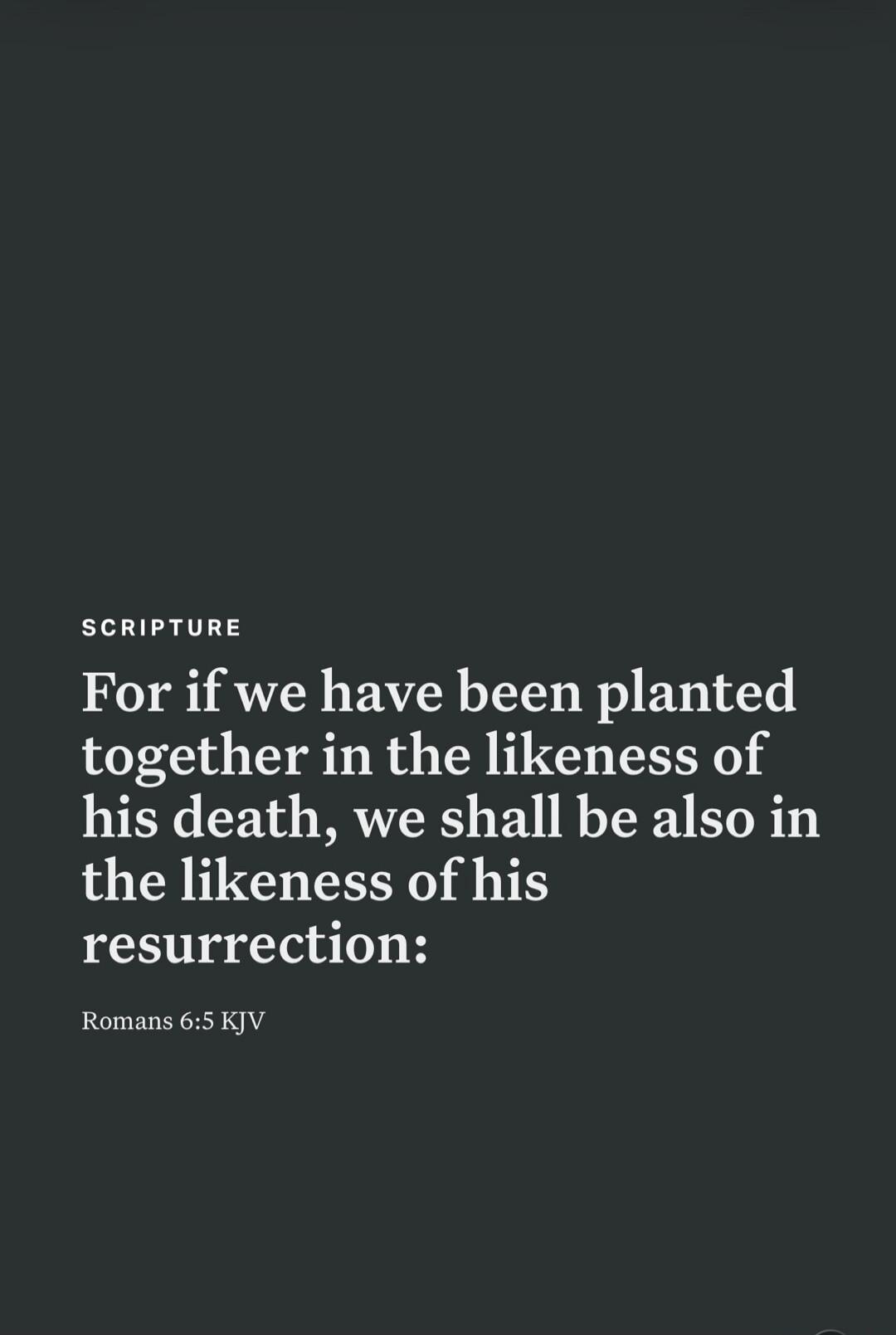 SCRIPTURE For if we have been planted together in the likeness of his death, we shall be also in the likeness of his resurrection: Romans 6:5 KJV